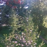  ,   , 42 ,   ,   , c 