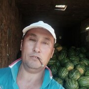  -,   , 44 ,   ,   