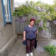 ���������� ���������, ���� ������� �����, 66 ���, ������������ ��� ����� � ���������, c�������� ���������