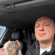 ���������� �����, ���� ������� ����, 37 ���, ������������ ��� ������