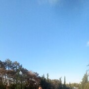 ���������� �����������, ���� ������� ����, 48 ���, ������������ ��� ������, ����� � ���������