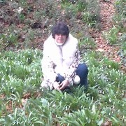 ���������� ����, ���� ������� ������, 59 ���, ������������ ��� ������, ����� � ���������, c�������� ���������