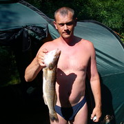 ,   , 51 ,   