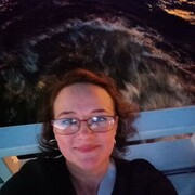  ,   , 44 ,   ,   
