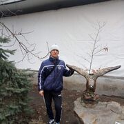 ���������� ������-��-����, ���� ������� ���������, 40 ���, ������������ ��� ������, ����� � ���������, c�������� ���������, ���������