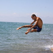  ,   WOLF, 43 ,   ,   , c , 