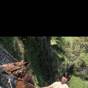 ���������� �������������, ���� ����� �������, 24 ����, ������������ ��� ������, ����� � ���������, c�������� ���������, ���������