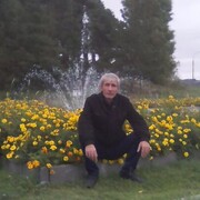  ,   , 55 ,   ,   