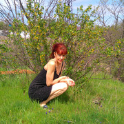 ���������� ������������, ���� ������� ������, 55 ���, ������������ ��� ������, ����� � ���������, c�������� ���������