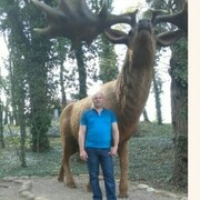 ���������� ������ ���, ���� ������� ��������, 55 ���, ������������ ��� ������, ����� � ���������, c�������� ���������, ���������