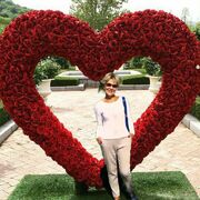 ���������� ��������, ���� ������� �����, 59 ���, ������������ ��� ������, ����� � ���������