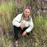   ,   , 41 ,   