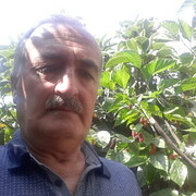  Mercin,  Yildo, 54