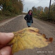 ,  , 23