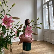 ���������� �����-���������, ���� ������� �������, 23 ����, ������������ ��� ������, ����� � ���������