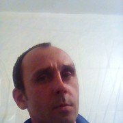   ,   Fox, 42 ,   