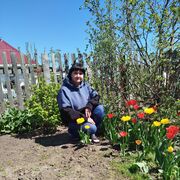 ���������� �������, ������� �������, 47