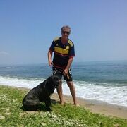  ,  rumen, 68