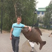 ���������� ������, ���� ������� ����, 37 ���, ������������ ��� ������, ����� � ���������, ���������