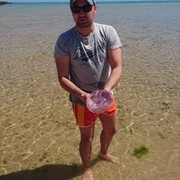 ���������� �������, ������� ���������, 27