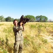 ���������� ������, ���� ������� ����, 44 ����, ������������ ��� ������, ����� � ���������, c�������� ���������