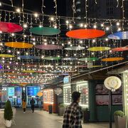 ���������� ���������, ���� ����� Ը���, 21 ���, ������������ ��� ������, ����� � ���������