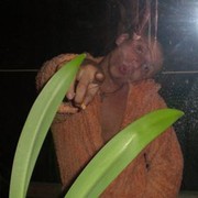  ,   , 38 ,   ,   , c 