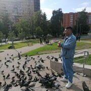 ���������� ������, ���� ������� �����, 43 ����, ������������ ��� ������, ����� � ���������