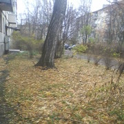  ,   , 33 ,     , c 