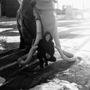 ���������� ���, ���� ������� �����, 31 ���, ������������ ��� ������, ����� � ���������