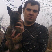 ���������� ��������, ������� ���������, 50