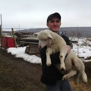 ���������� �������, ���� ������� Djecson, 47 ���, ������������ ��� ������