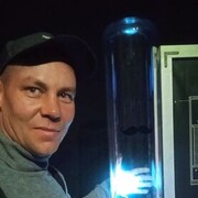 ���������� ���������, ���� ������� ����, 39 ���, ������������ ��� ������, ����� � ���������