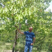 ���������� �������, ���� ������� Taleh, 50 ���, ������������ ��� ������, ����� � ���������