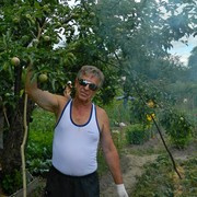  ,   Vlad, 62 ,     , c 