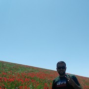 ���������� ������, ���� ������� �����, 38 ���, ������������ ��� ���������