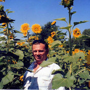  ,   , 53 ,     , c , 