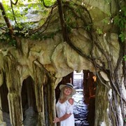 ���������� ��������������, ���� ������� �������, 60 ���, ������������ 