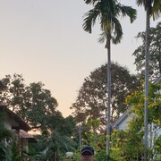  ,   , 55 ,   ,   , c 
