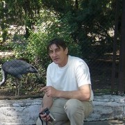  ,   Oleg, 56 ,   