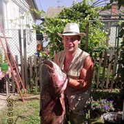  ,   , 57 ,   