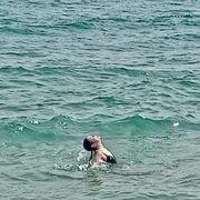 ���������� �����������, ���� ������� �������, 38 ���, ������������ ��� ����� � ���������, ���������