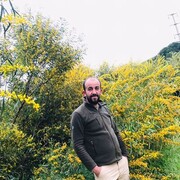 ���������� ����, ���� ������� �����, 37 ���, ������������ ��� ������, ����� � ���������