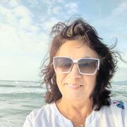 ������ 2026 �