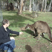 ���������� ������, ���� ������� �����, 41 ���, ������������ ��� ������, ����� � ���������, c�������� ���������