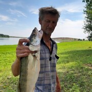  ,   , 59 ,   ,   