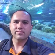 ���������� ����, ���� ������� ����, 35 ���, ������������ ��� ������, ����� � ���������, c�������� ���������, ���������