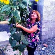 ���������� �������, ���� ������� ������, 61 ���, ������������ ��� ����� � ���������, c�������� ���������