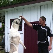 ���������� ��������, ������� ������, 40