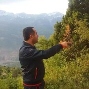 ���������� ������, ���� ������� ������, 40 ���, ������������ ��� ������, ����� � ���������